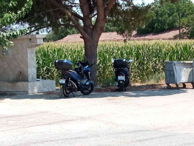 Yola dökülen zeytinyağı sürücülere zor anlar yaşattı