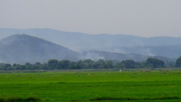 Yunanistan'daki orman yangını, Türkiye sınırından görülmeye başlandı