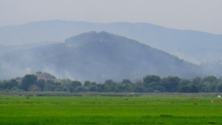 Yunanistan'daki orman yangını, Türkiye sınırından görülmeye başlandı