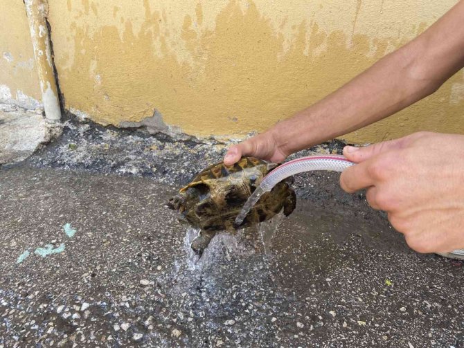 Alevleri yerleşim yerlerine sıçramadan söndürdüler..