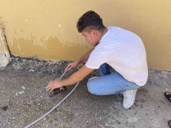 Alevleri yerleşim yerlerine sıçramadan söndürdüler..