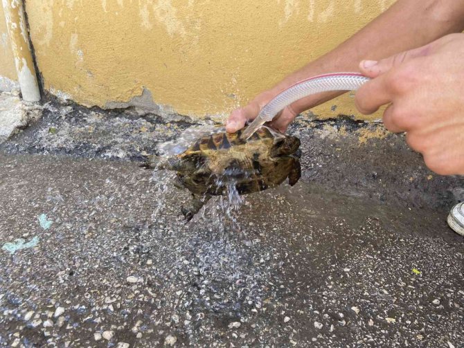 Alevleri yerleşim yerlerine sıçramadan söndürdüler..