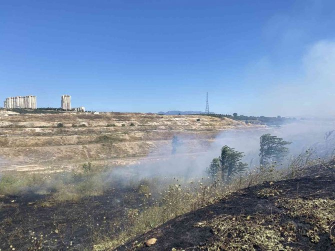 Alevleri yerleşim yerlerine sıçramadan söndürdüler..