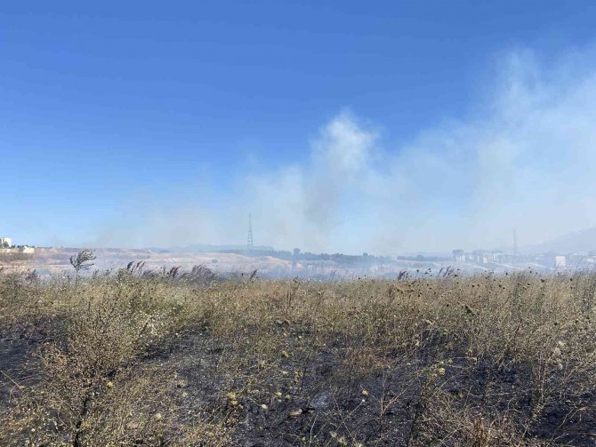 Alevleri yerleşim yerlerine sıçramadan söndürdüler..