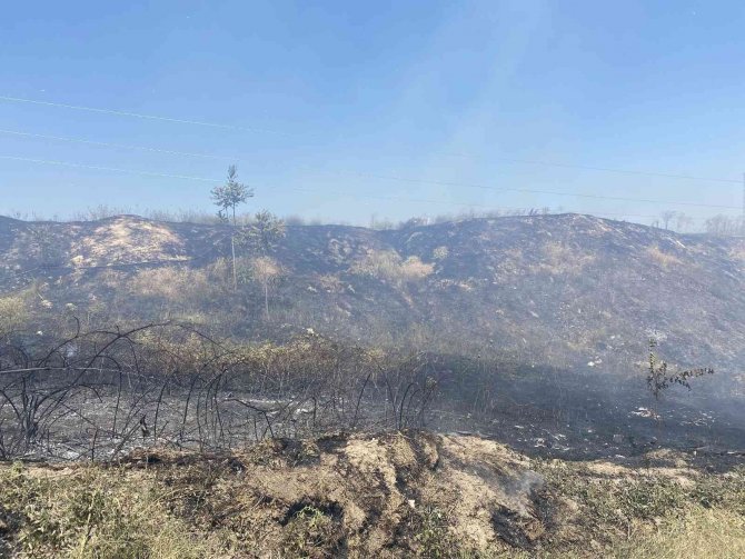 Alevleri yerleşim yerlerine sıçramadan söndürdüler..