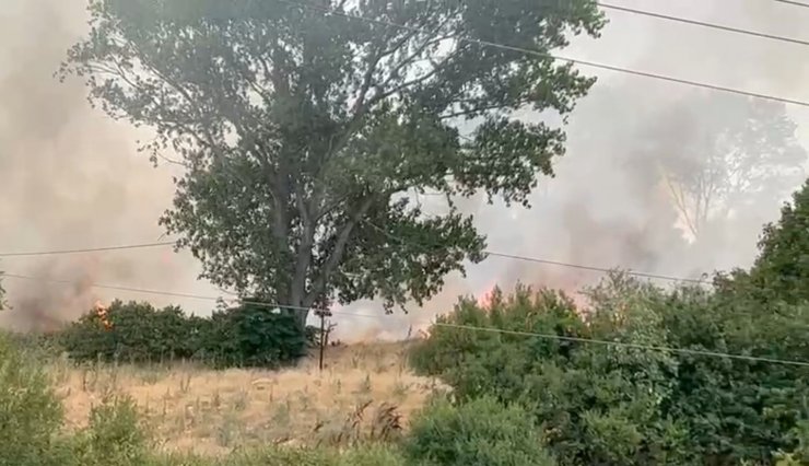 Anız yangını kampüsteki ormana sıçradı