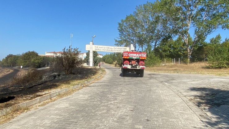 Anız yangını kampüsteki ormana sıçradı
