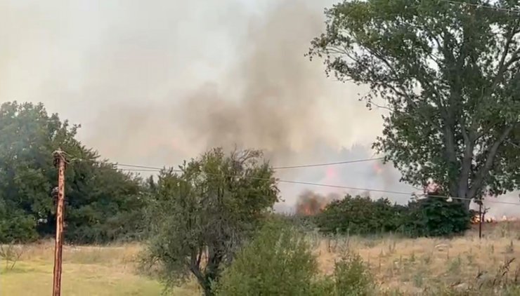 Anız yangını kampüsteki ormana sıçradı