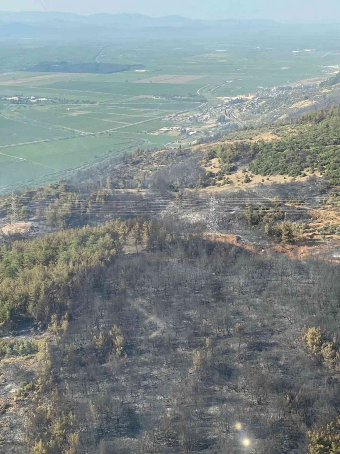 Aydın Söke’deki orman yangını kontrol altına alındı