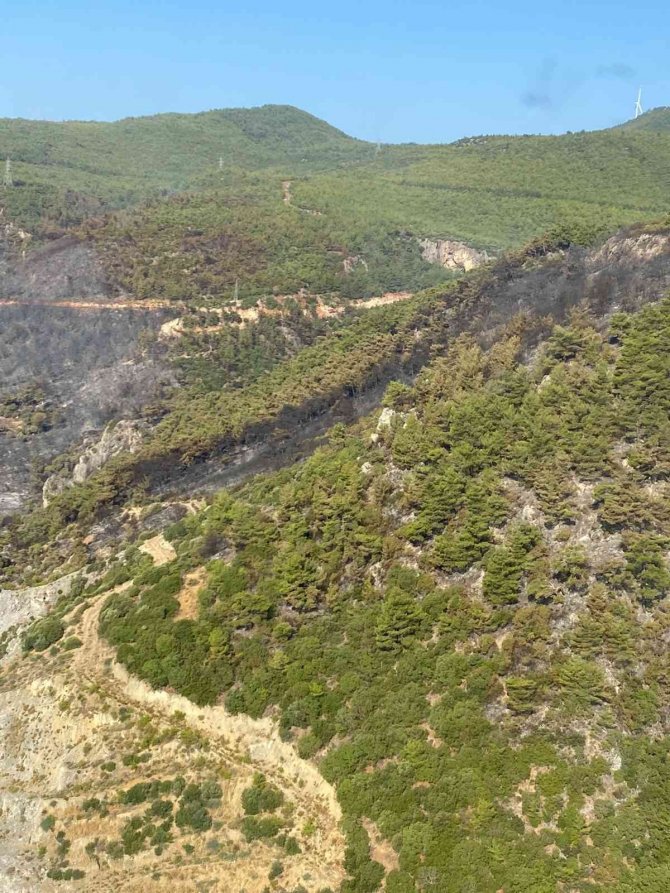 Aydın Söke’deki orman yangını kontrol altına alındı