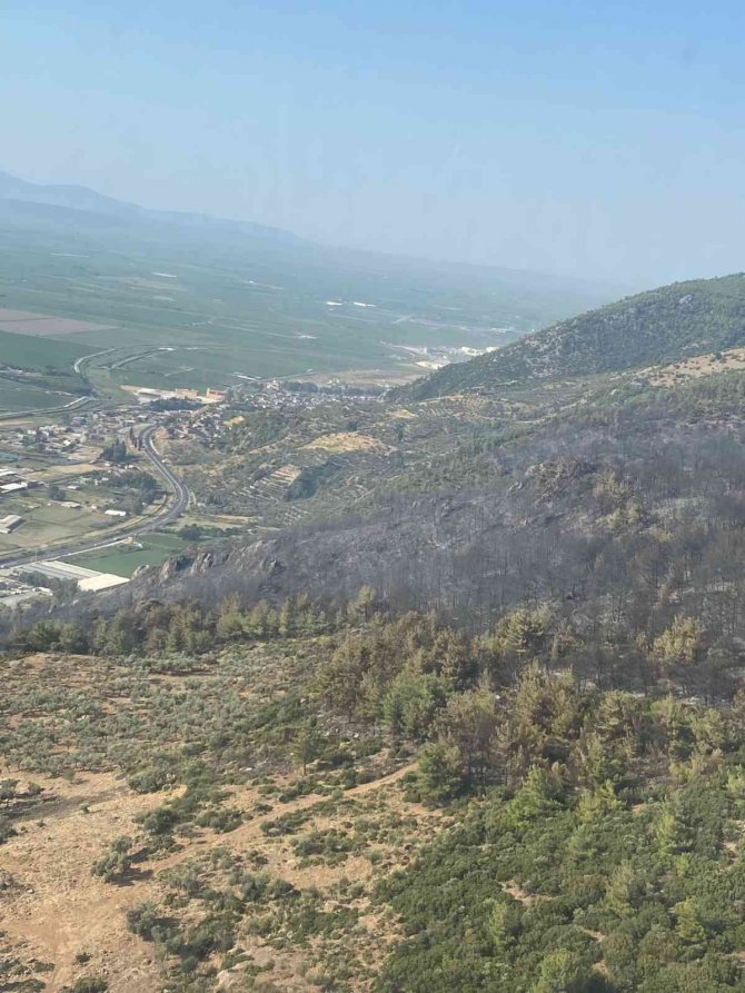 Aydın Söke’deki orman yangını kontrol altına alındı
