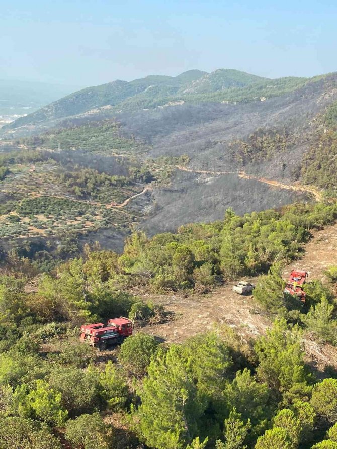 Aydın Söke’deki orman yangını kontrol altına alındı