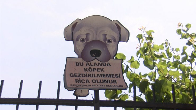 Bahçelievler'de parkta oynayan çocuğa pitbull saldırdı 