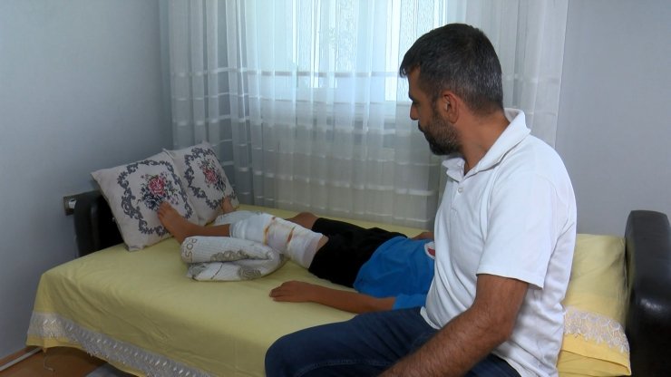 Bahçelievler'de parkta oynayan çocuğa pitbull saldırdı 