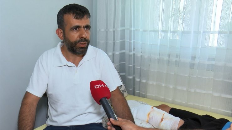 Bahçelievler'de parkta oynayan çocuğa pitbull saldırdı 