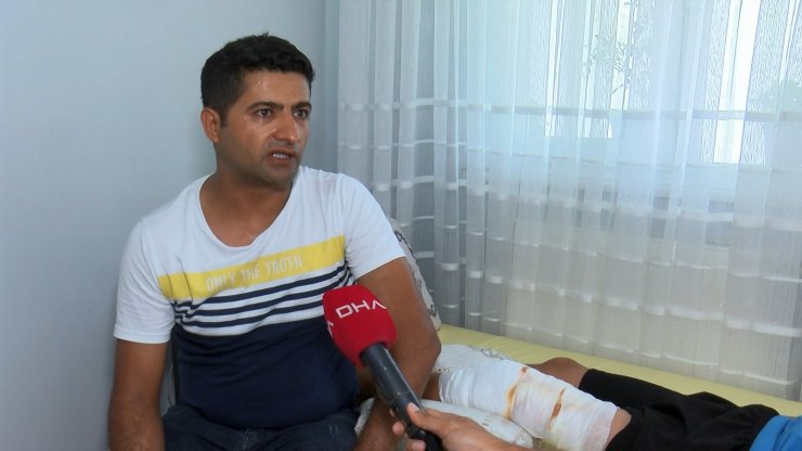 Bahçelievler'de parkta oynayan çocuğa pitbull saldırdı 