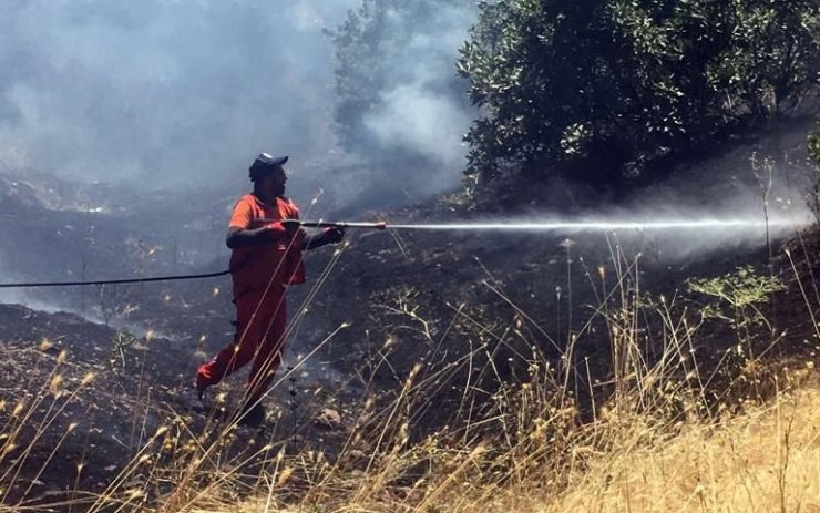 Bingöl'de 3 köyde çıkan yangınlar büyümeden söndürüldü