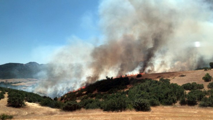 Bingöl'de 3 köyde çıkan yangınlar büyümeden söndürüldü