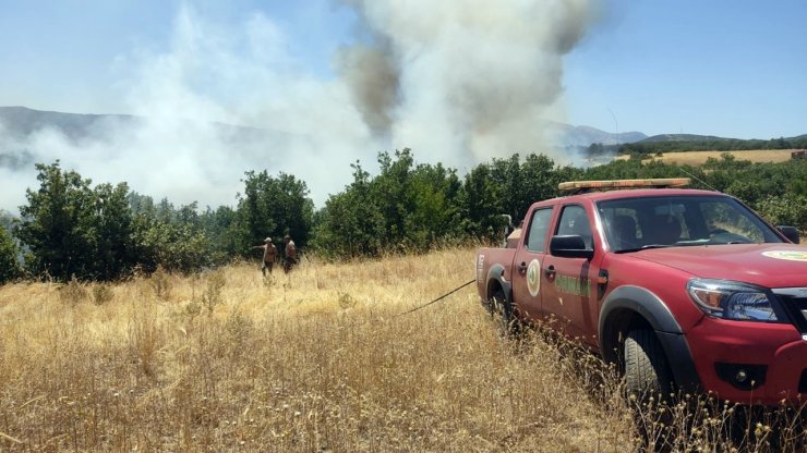 Bingöl'de 3 köyde çıkan yangınlar büyümeden söndürüldü