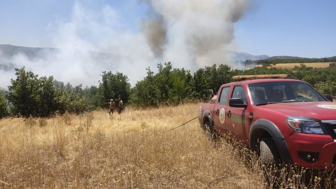 Bingöl’ün köylerinde çıkan orman yangını söndürüldü