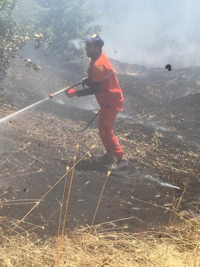 Bingöl’ün köylerinde çıkan orman yangını söndürüldü