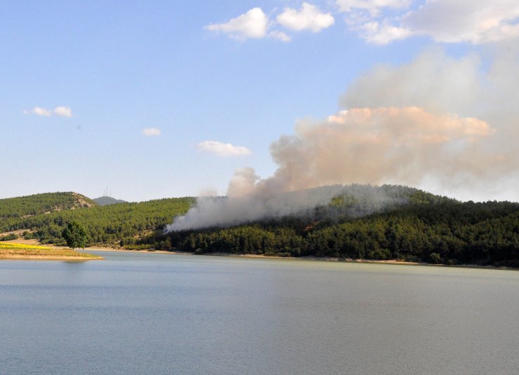 Çıkan orman yangını söndürüldü
