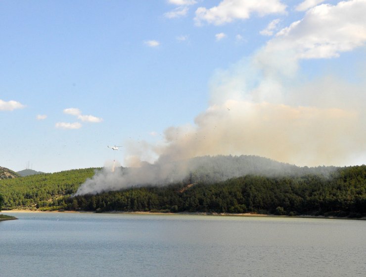 Çıkan orman yangını söndürüldü