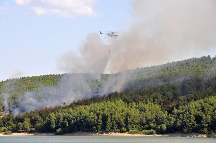 Çıkan orman yangını söndürüldü