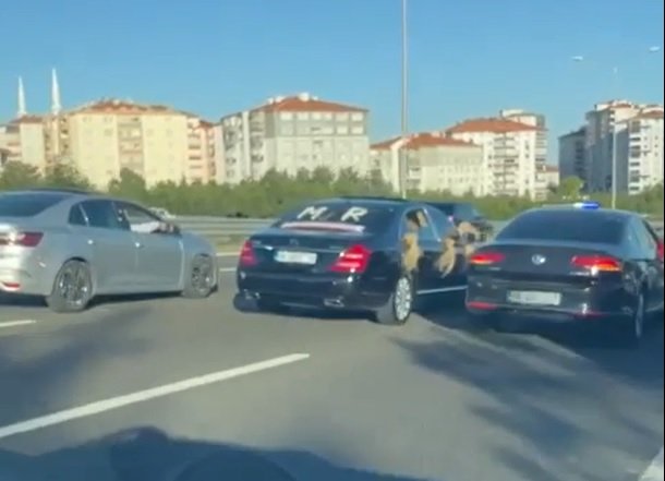 Düğün konvoyuna 'çakarlı' otomobille katılan 8 şoföre para cezası uygulandı