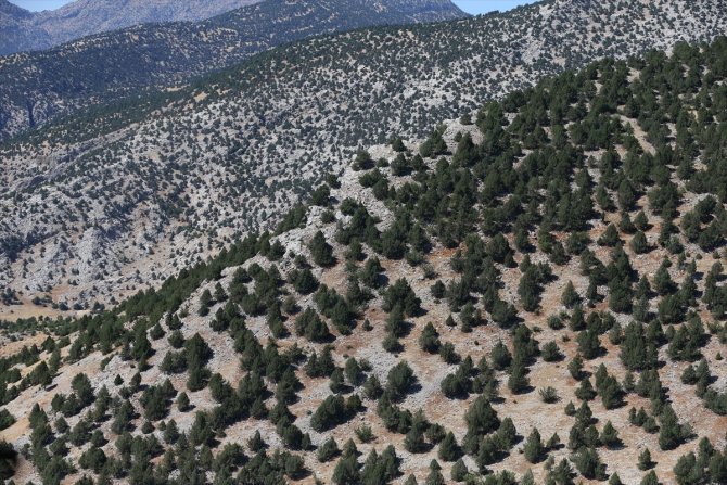 Kahramanmaraş'ta helikopter destekli trafik denetimi