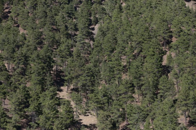 Kahramanmaraş'ta helikopter destekli trafik denetimi