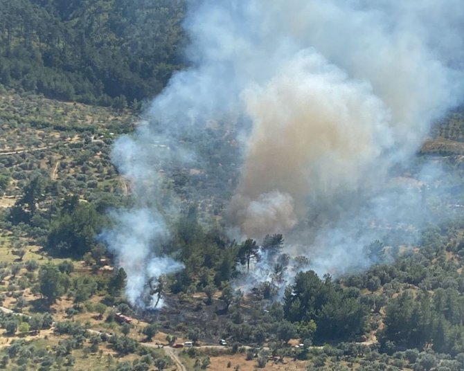 İzmir’de orman yangını kısa sürede kontrol altında
