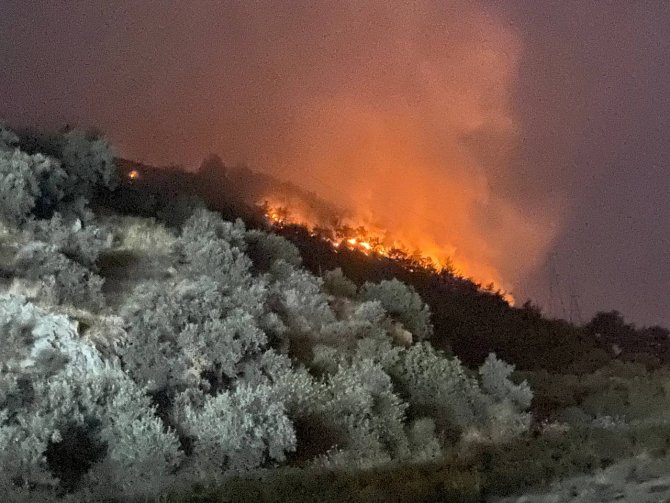 Orman yangınında alevler geceyi aydınlattı