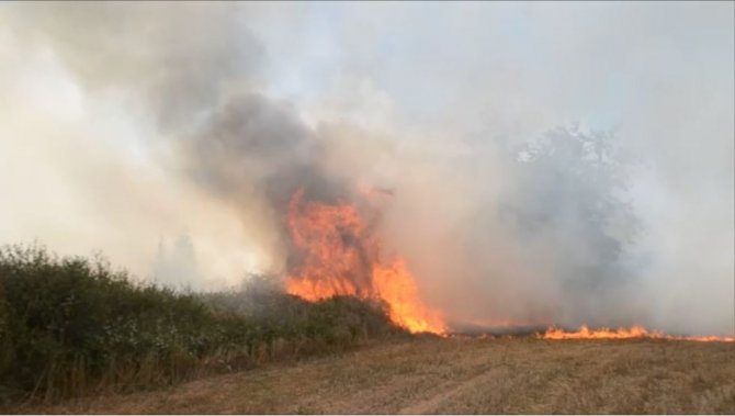 Ormanlık alan ve anız alev alev yandı