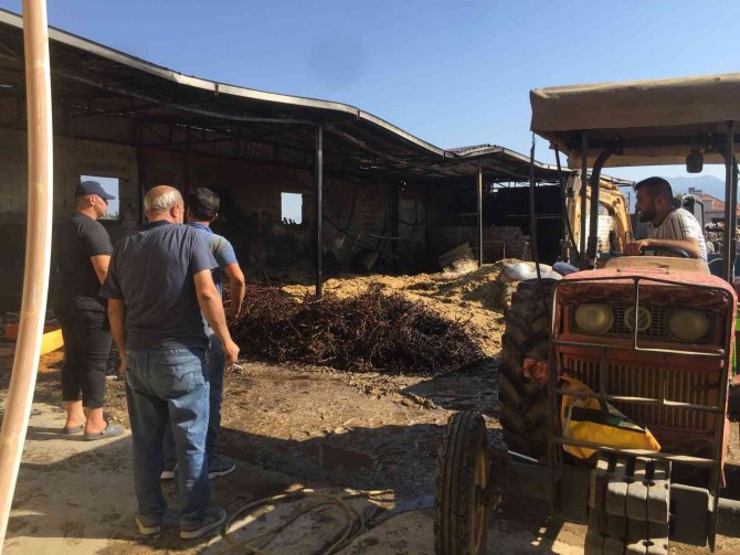 Yanan ahırda inek ve koyunlar telef oldu