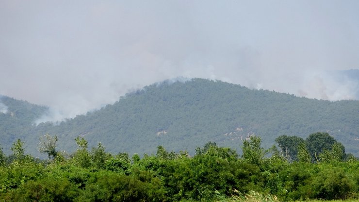 Yunanistan'daki orman yangını, Türkiye'den endişe ile izleniyor
