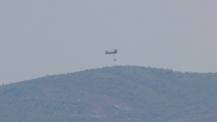 Yunanistan'daki orman yangını, Türkiye'den endişe ile izleniyor