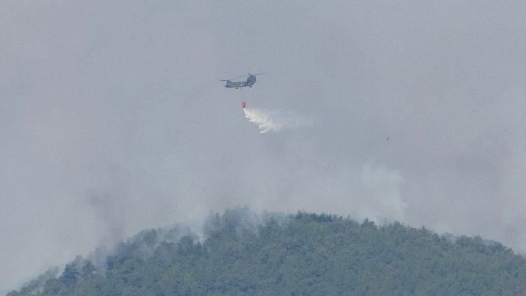 Yunanistan'daki orman yangını, Türkiye'den endişe ile izleniyor