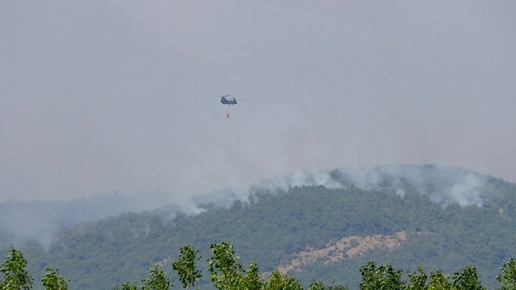 Yunanistan'daki orman yangını, Türkiye'den endişe ile izleniyor