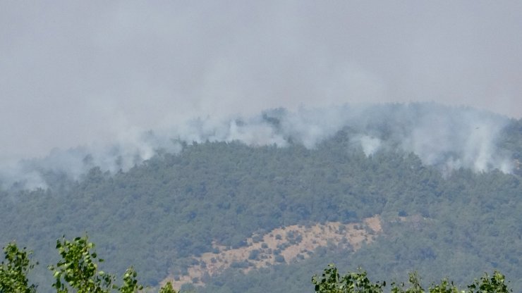 Yunanistan'daki orman yangını, Türkiye'den endişe ile izleniyor