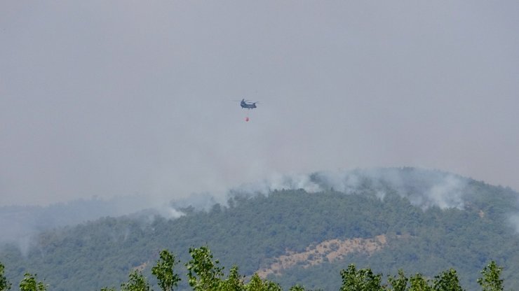 Yunanistan'daki orman yangını, Türkiye'den endişe ile izleniyor