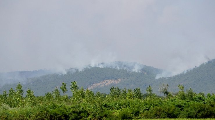 Yunanistan'daki orman yangını, Türkiye'den endişe ile izleniyor