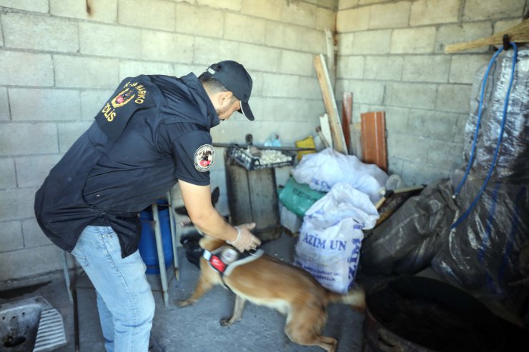 18 adrese 168 polisle uyuşturucu baskını: 7 gözaltı