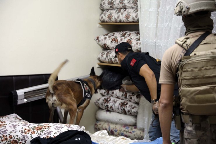 18 adrese 168 polisle uyuşturucu baskını: 7 gözaltı