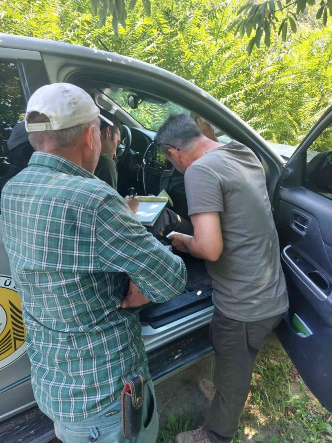 Arazisinde anız veya benzeri bitki örtüsü yakan yandı