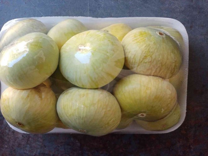 Beyaz incirde 30 bin ton rekolte bekleniyor