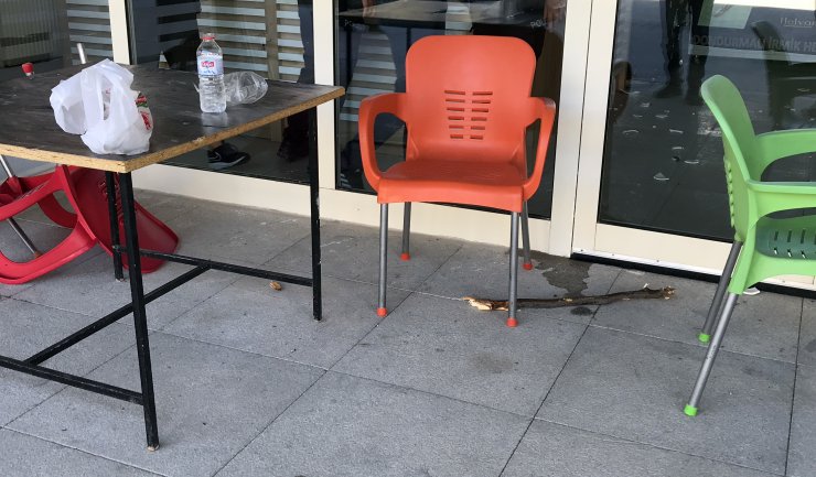 Bıçaklı sopalı akraba kavgası