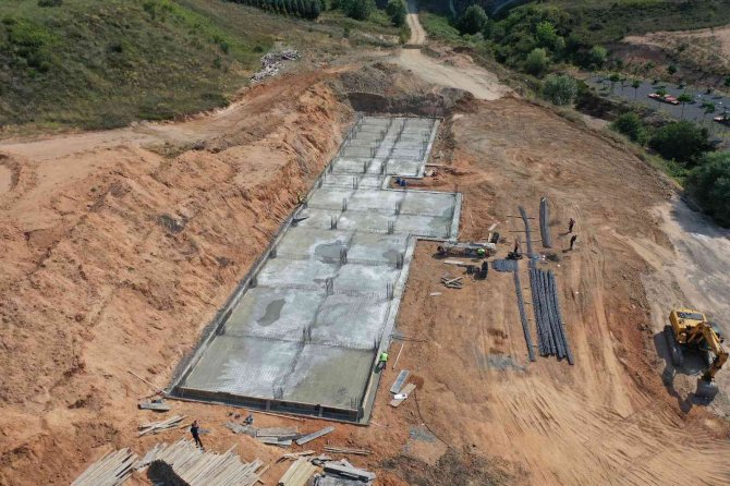 Sokak hayvanlarına 5 yıldızlı rehabilitasyon merkezi