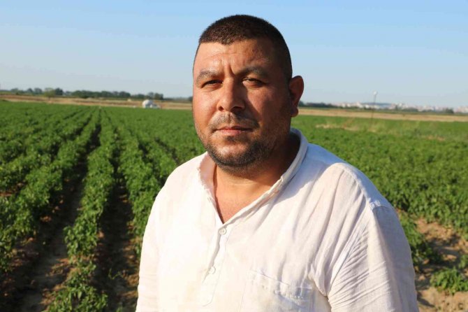 Tarım işçilerinin güneşin altında 40 derece sıcakta zorlu mesaisi