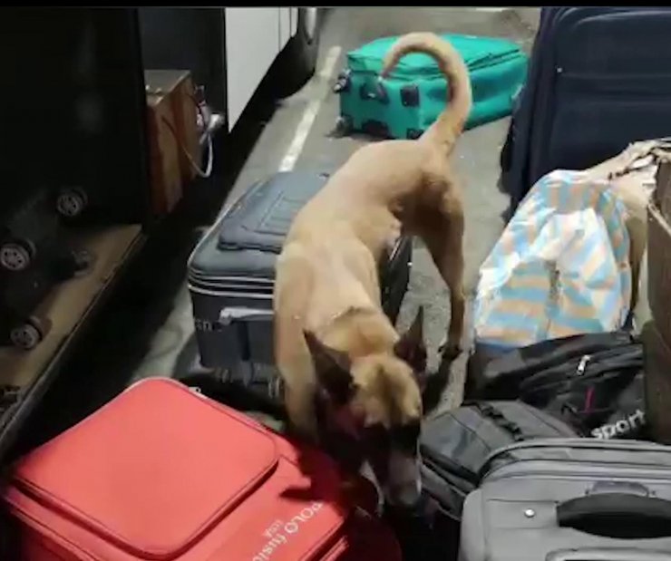 8 kilo uyuşturucu ile yakalanan 5 İranlı tutuklandı